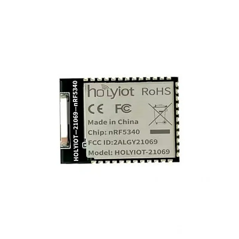 Holyiot 21069, nRF5340 Wearable Devices Smart Howireless moduleme Ultra-low Power Consumption Module